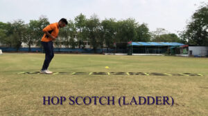 Read more about the article Hop Scotch (Ladder) – Agility